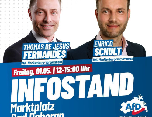 Infostand in Bad Doberan am 01.05.2026 von 12.00-15.00 Uhr mit Thomas de Jesus Fernandes und Enrico Schuldt
